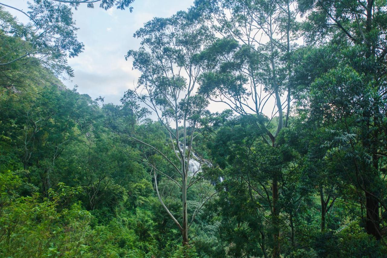 Ella Retreat Hotel Glamping Tent For Nature Lovers Bagian luar foto